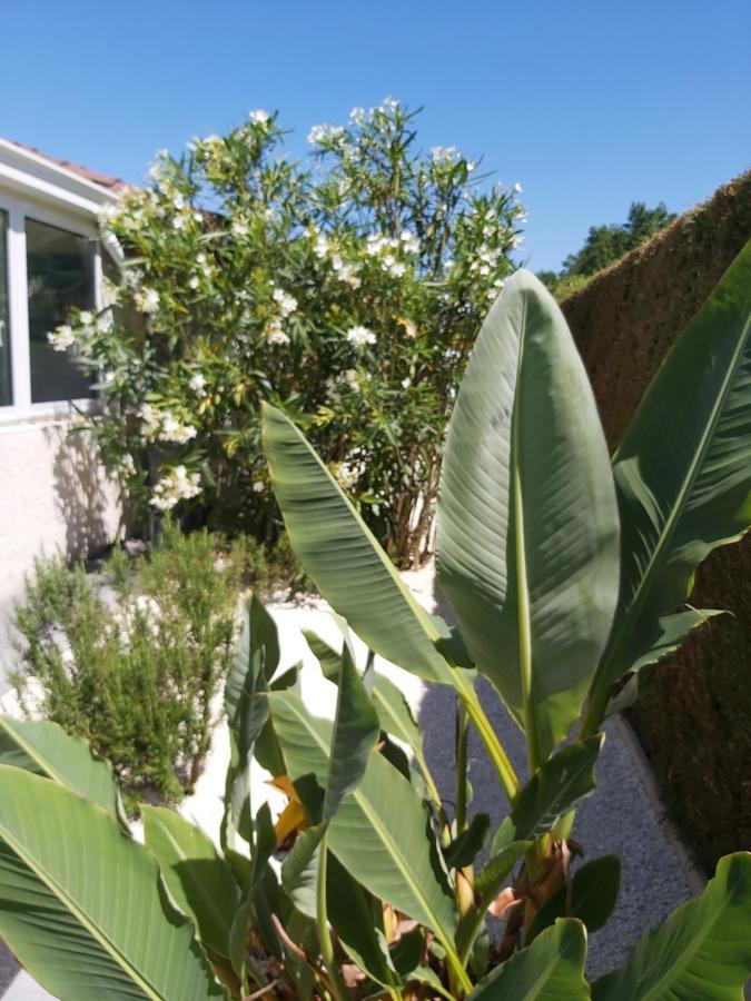 Le Soleil Couchant Angresse Esterno foto